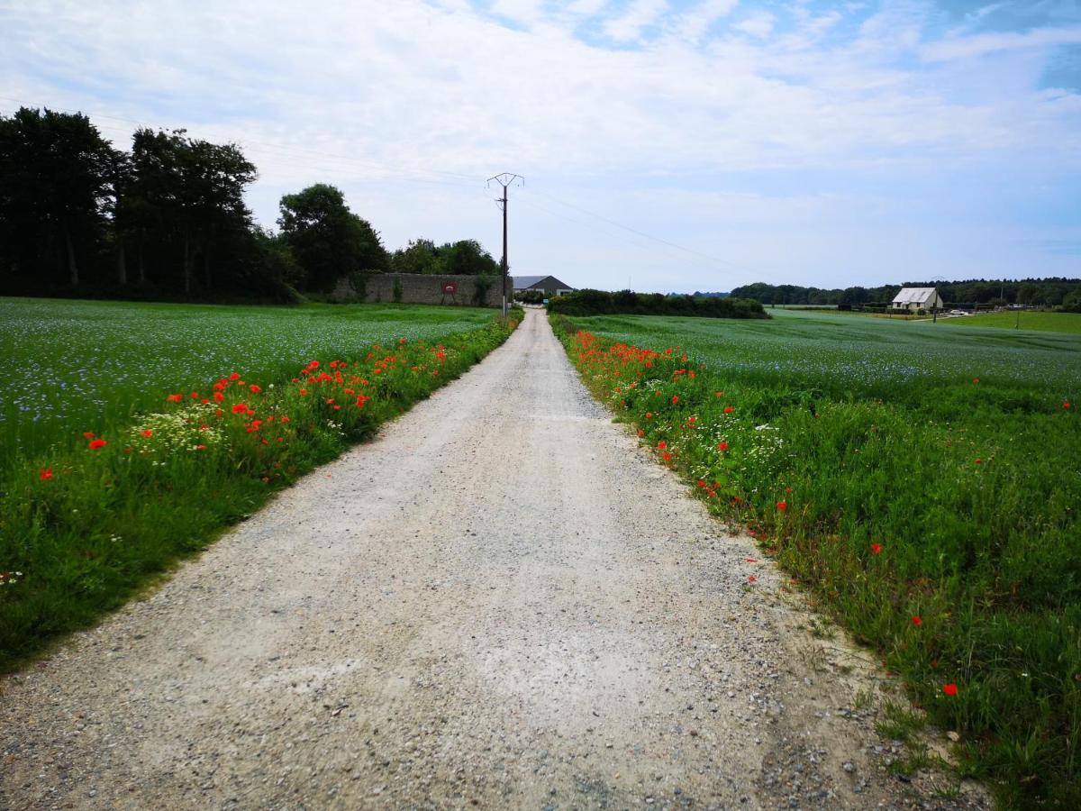 Les Chambres De Thiergeville Exteriér fotografie